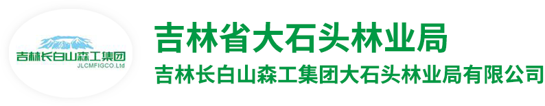 吉林省大石头林业局-吉林长白山森工集团大石头林业局有限公司